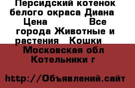 Персидский котенок белого окраса Диана › Цена ­ 40 000 - Все города Животные и растения » Кошки   . Московская обл.,Котельники г.